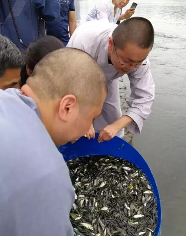 LED光源 第383頁
