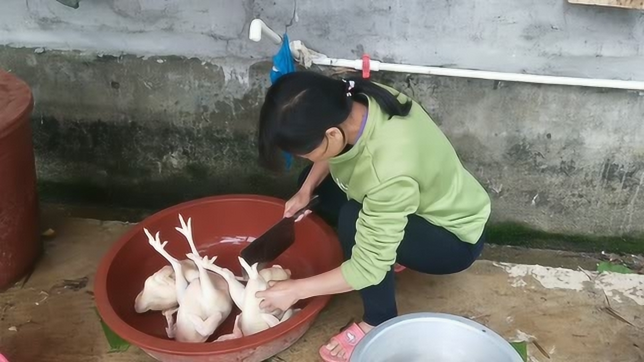 關(guān)于阿梅殺雞視頻的理性分析與網(wǎng)絡(luò)倫理道德探討，警惕涉黃內(nèi)容侵蝕社會(huì)倫理底線。