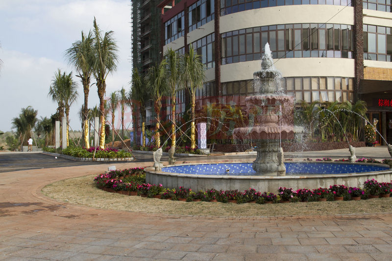 棕櫚水城最新動(dòng)態(tài)，塑造理想生活新標(biāo)桿！