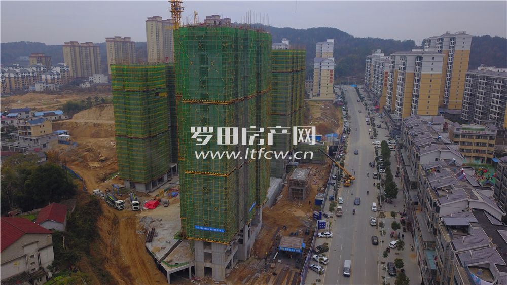 羅田最新房價揭秘，洞悉市場動態(tài)，掌握房價走勢！