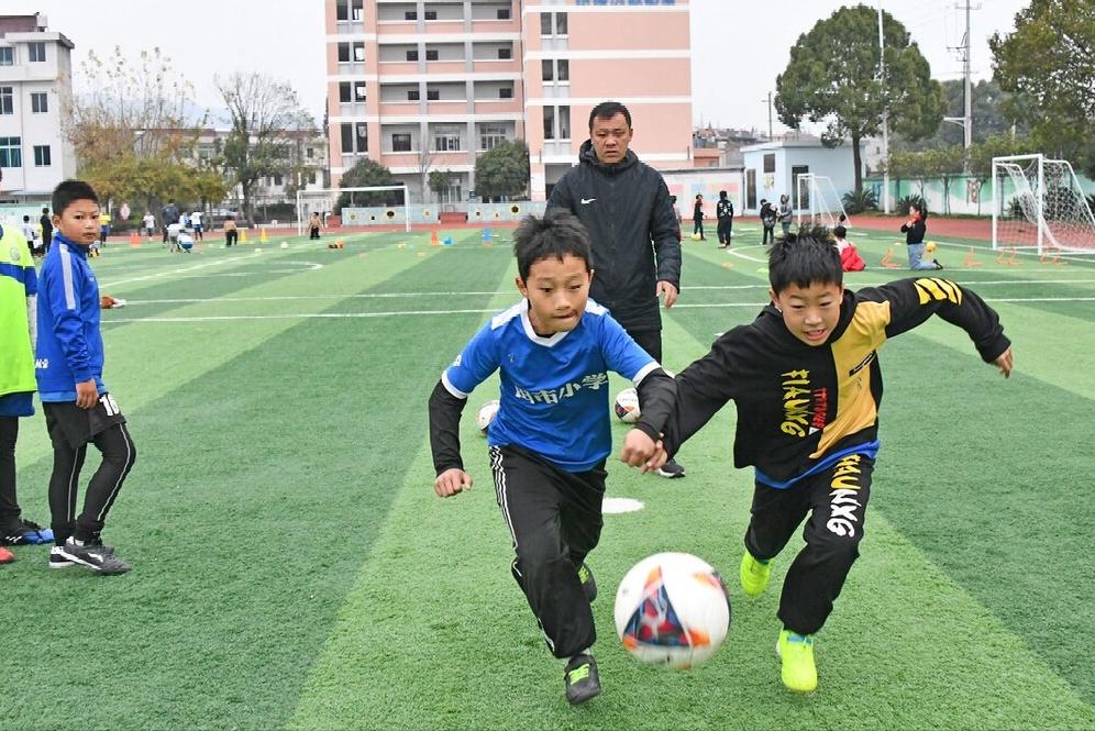 蕭縣最新招標(biāo)信息解析與動態(tài)速遞