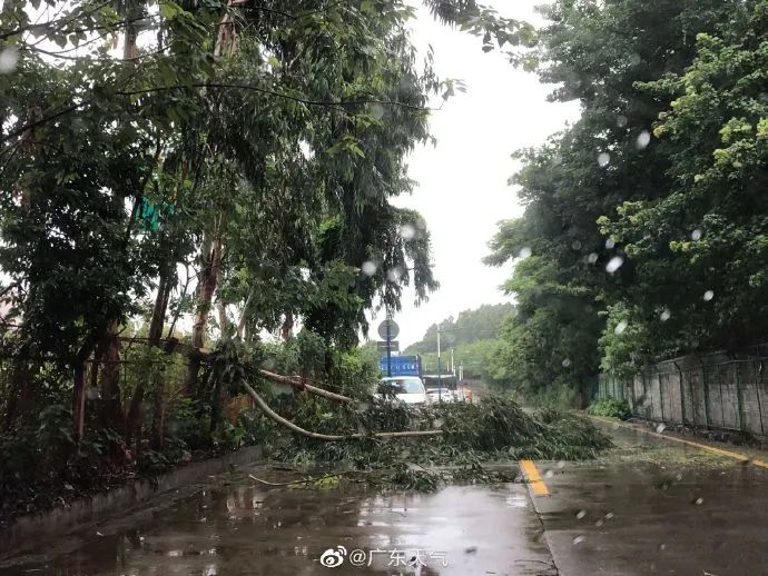 肇慶臺(tái)風(fēng)最新實(shí)況及應(yīng)對(duì)步驟指南
