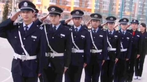 寧國最新保安招聘及其探討，行業(yè)現(xiàn)狀與發(fā)展趨勢分析