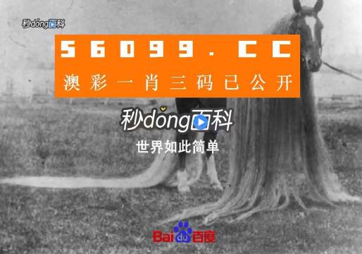 奧門一肖一碼一中一,實時更新解釋介紹_ZDD10.302別致版