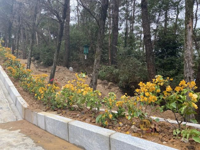 桂平手工，傳統(tǒng)與創(chuàng)新的完美交融