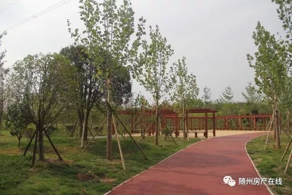 隨州桃園公園最新動態(tài)揭秘，驚喜連連，不容錯過！