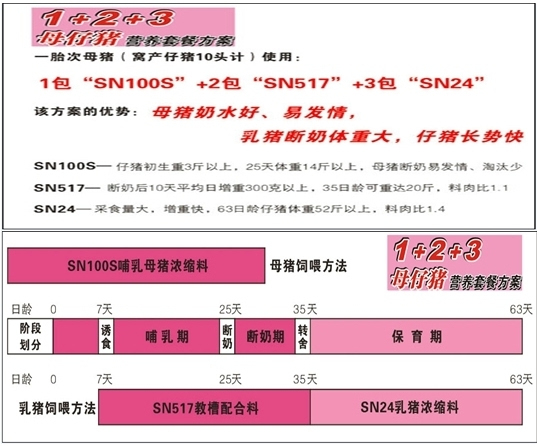 新澳天天免費(fèi)精準(zhǔn)資料大全,穩(wěn)固計(jì)劃實(shí)施_BRY85.916為你版