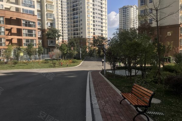 建禮家園最新動態(tài)，小巷中的隱藏瑰寶揭秘