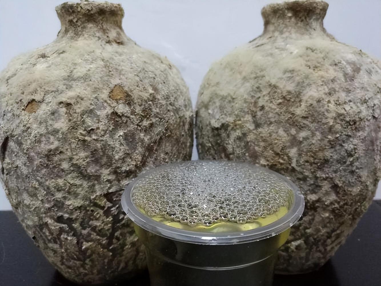 仁懷房屋出售最新信息，科技與家居融合，未來家居新體驗(yàn)重磅推出