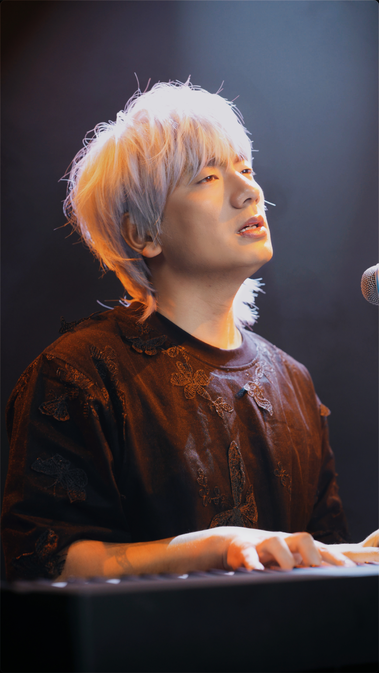 冷漠2024最新預(yù)告新歌，音樂(lè)與時(shí)代交融的期待之聲