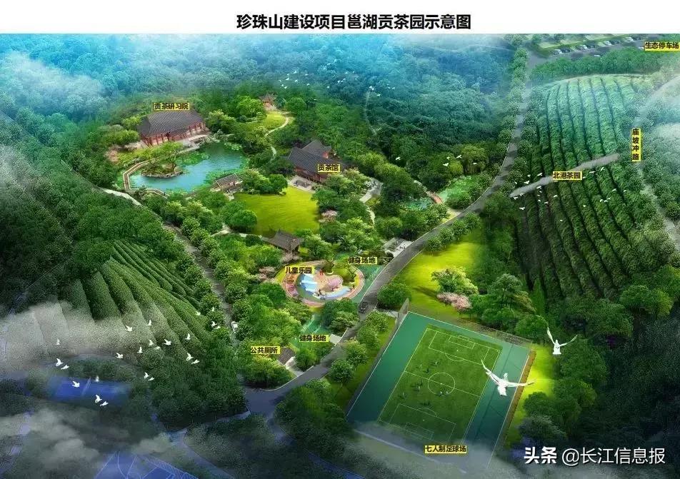 岳陽(yáng)北港小學(xué)最新動(dòng)態(tài)揭秘，校園新聞與活動(dòng)更新