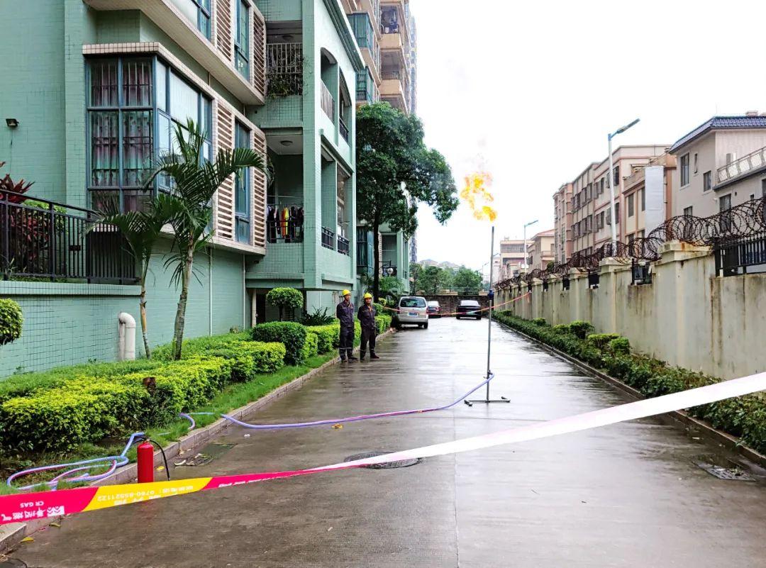 中山東鳳佛奧最新動態(tài)，自然美景的探索之旅，尋找內(nèi)心平和與寧靜