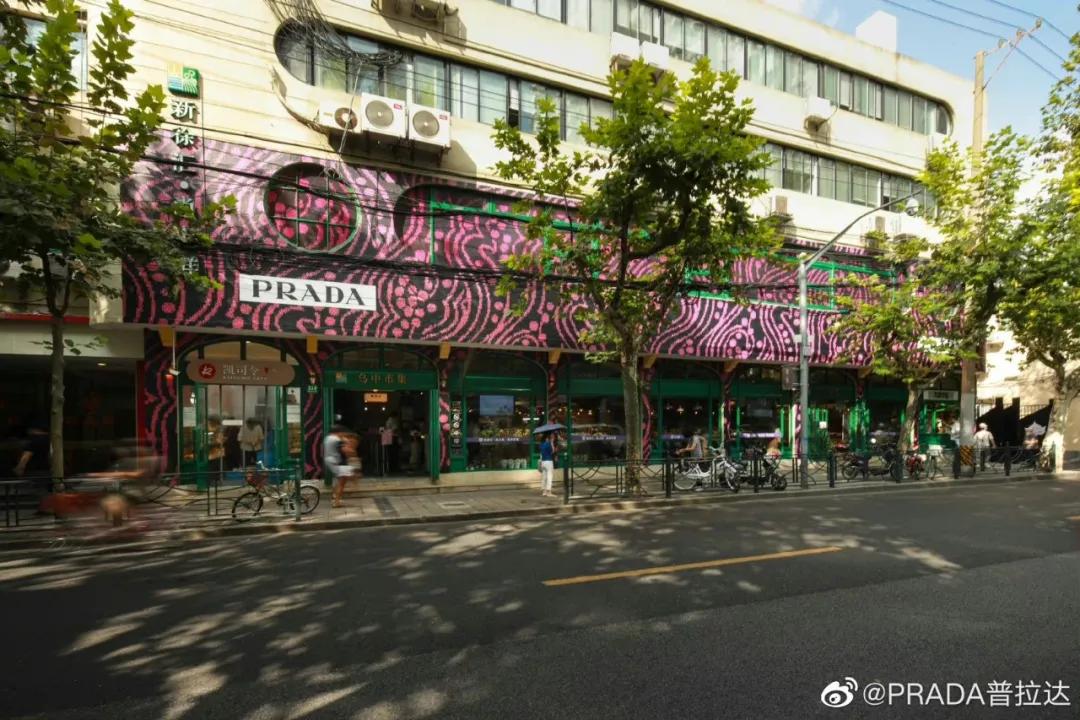 東南坊扦遷最新動(dòng)態(tài)，變化中的學(xué)習(xí)之旅，成就感的源泉