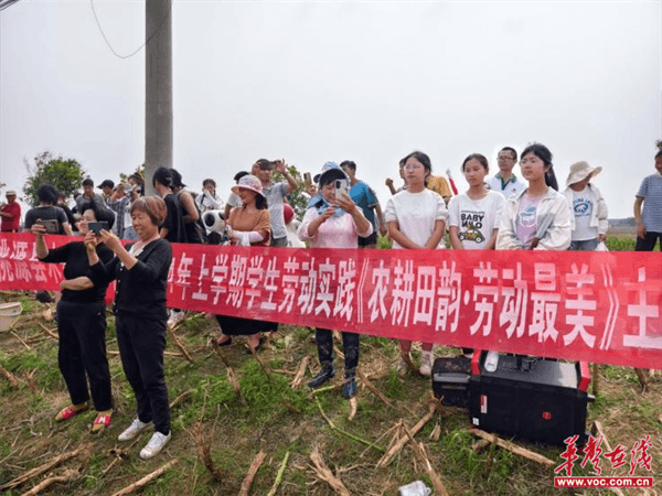 桃源木塘垸鄉(xiāng)新動態(tài)，趣事連連，真摯友情綻放鄉(xiāng)間
