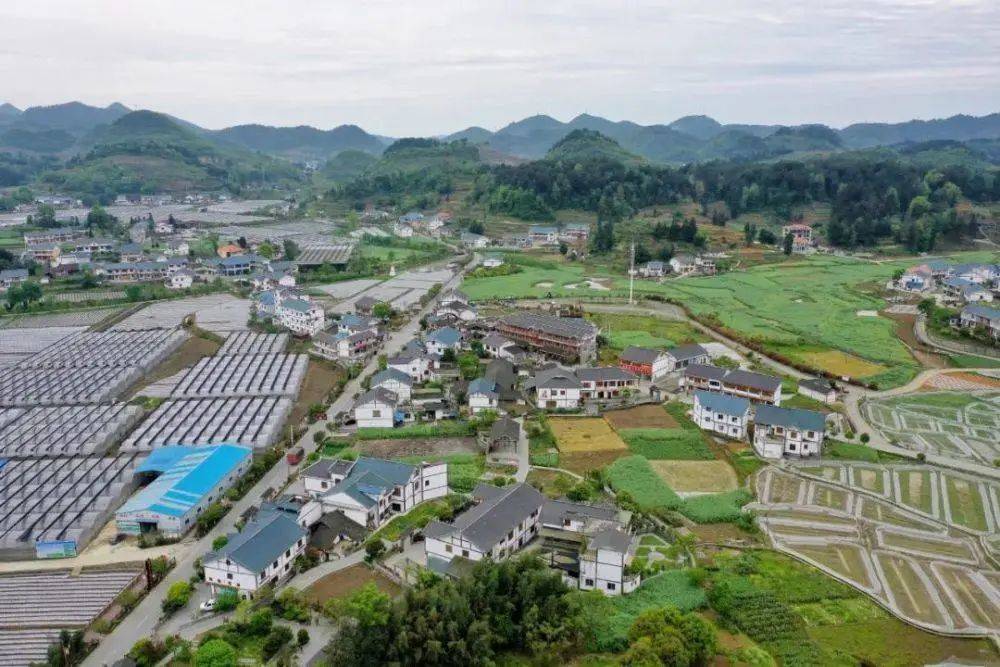 遵義市喇叭鎮(zhèn)最新動態(tài)更新，最新消息匯總