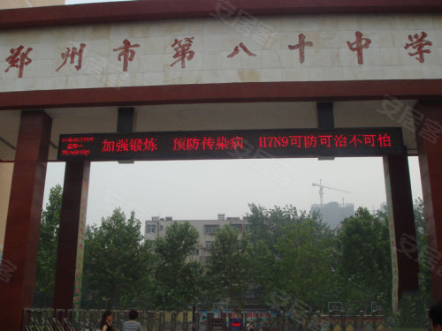 中原區(qū)九龍城最新動(dòng)態(tài)深度解析，最新進(jìn)展與觀點(diǎn)闡述