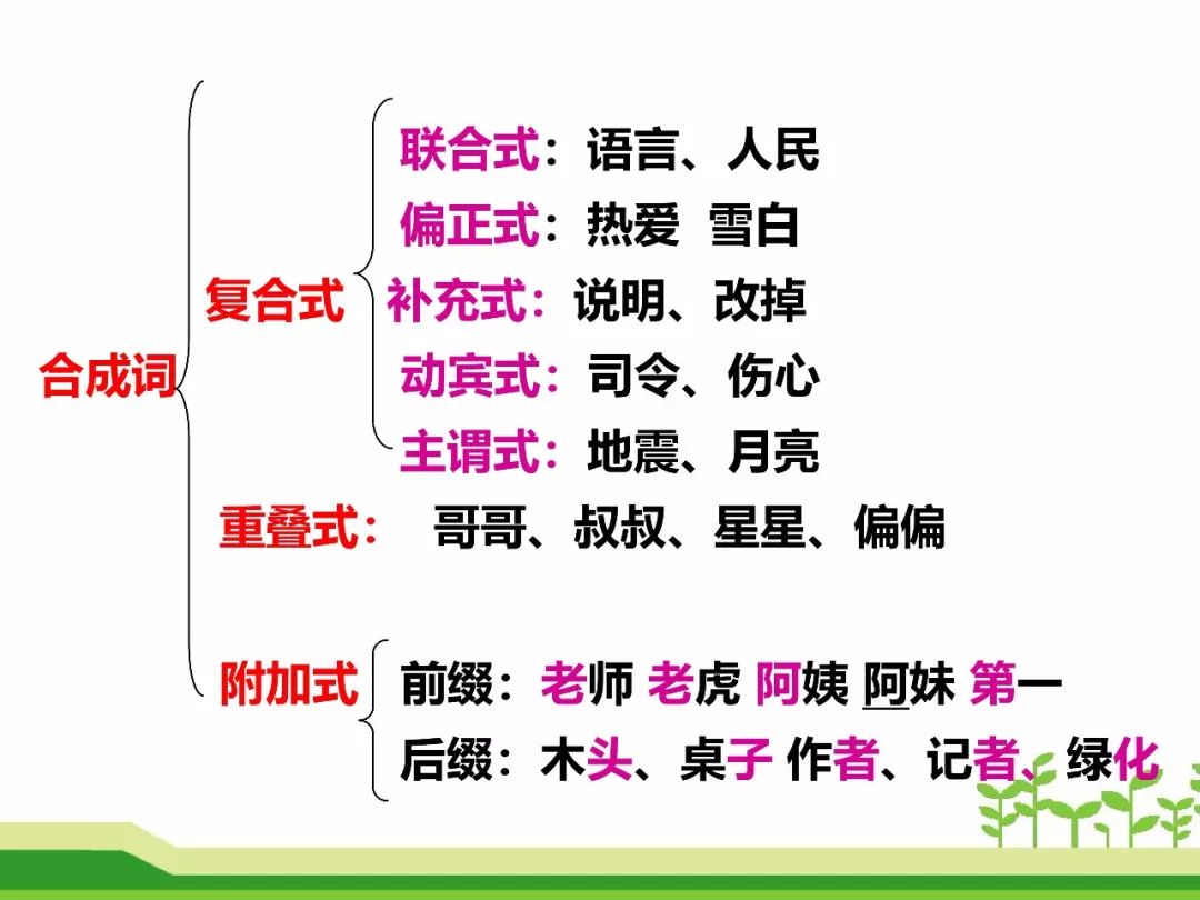 最新合成詞，語言發(fā)展的微觀視角探索