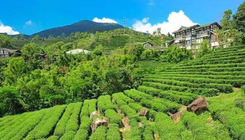 深圳驚喜活動溫情之旅，日常中的特別瞬間