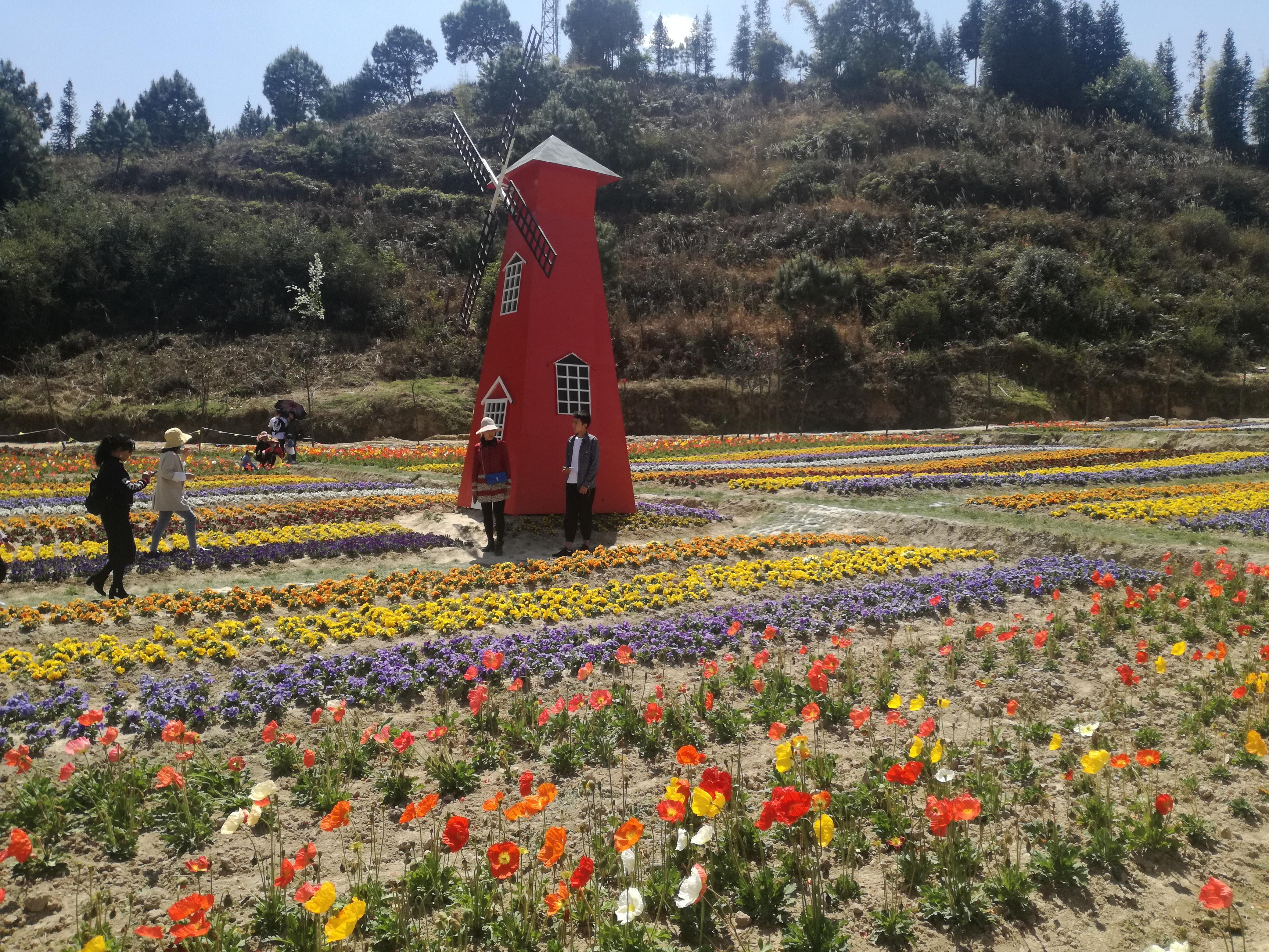 臨滄市最新探索，自然美景之旅，尋找內(nèi)心平和的旅程