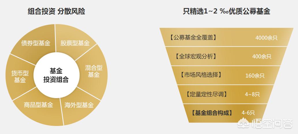 深度解析，今年養(yǎng)雞產(chǎn)業(yè)趨勢(shì)與前景展望
