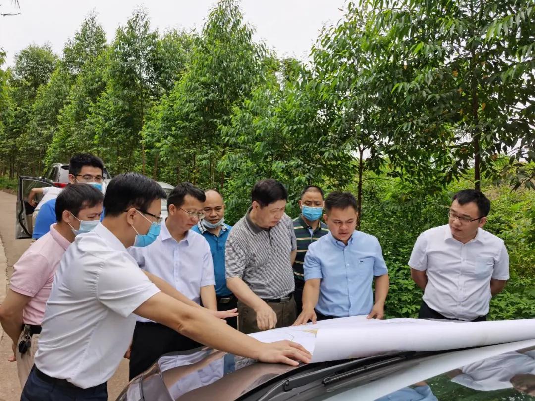 南寧龍象谷最新資訊，游玩指南與技能學習步驟全解析