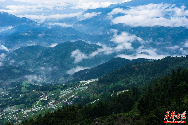 雪峰山資訊，一段溫馨有趣的探索之旅