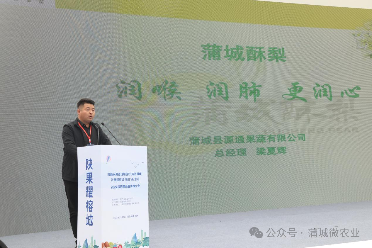 梨城資訊速遞，探索梨城新動態(tài)與發(fā)展趨勢