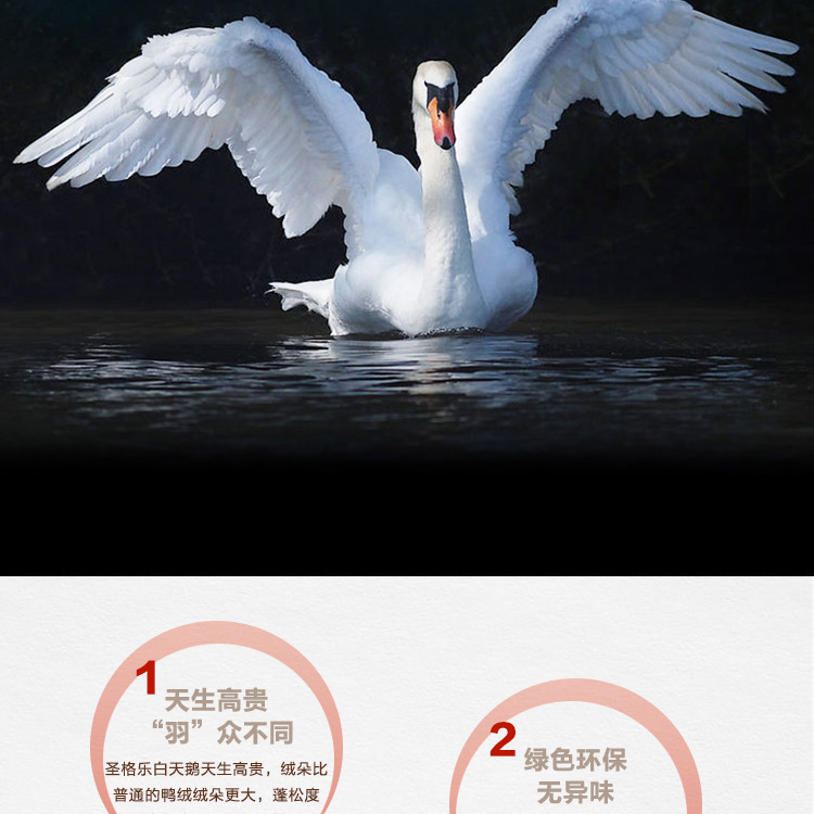 探索小巷羽絨寶藏，90白鵝絨價(jià)格與溫暖故事