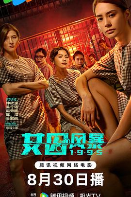 淘君爹最新影片，小巷深處的電影寶藏探索