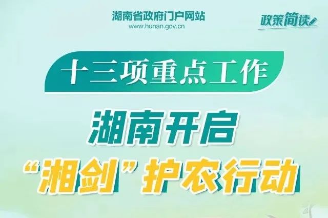 鋁業(yè)巨頭山鋁南定舉辦最新職位招聘盛宴，人才招募火熱進行中！