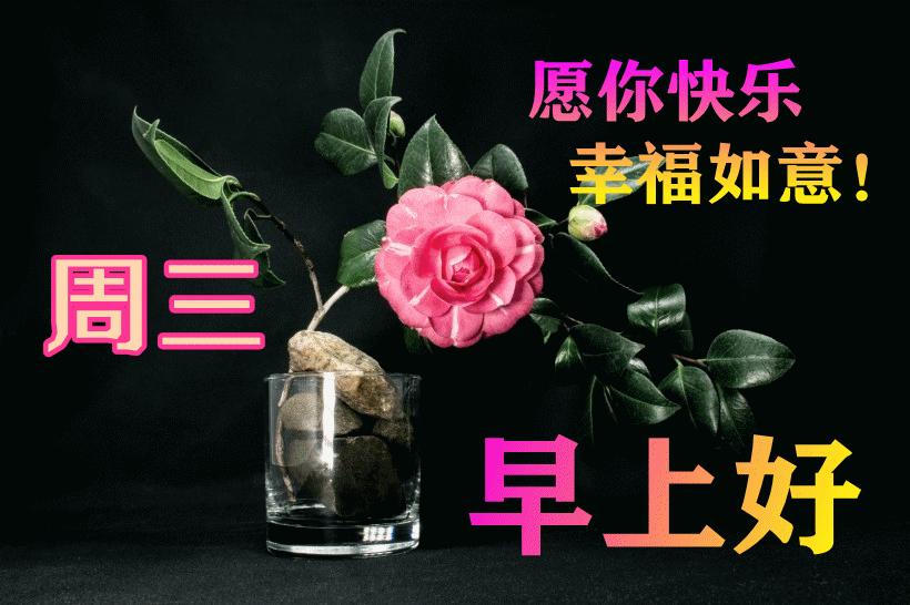 最新早晨問候動態(tài)表情包，溫馨問候，從表情開始！