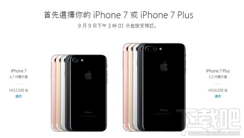 香港蘋果最新價格揭秘，小巷深處的驚喜發(fā)現(xiàn)