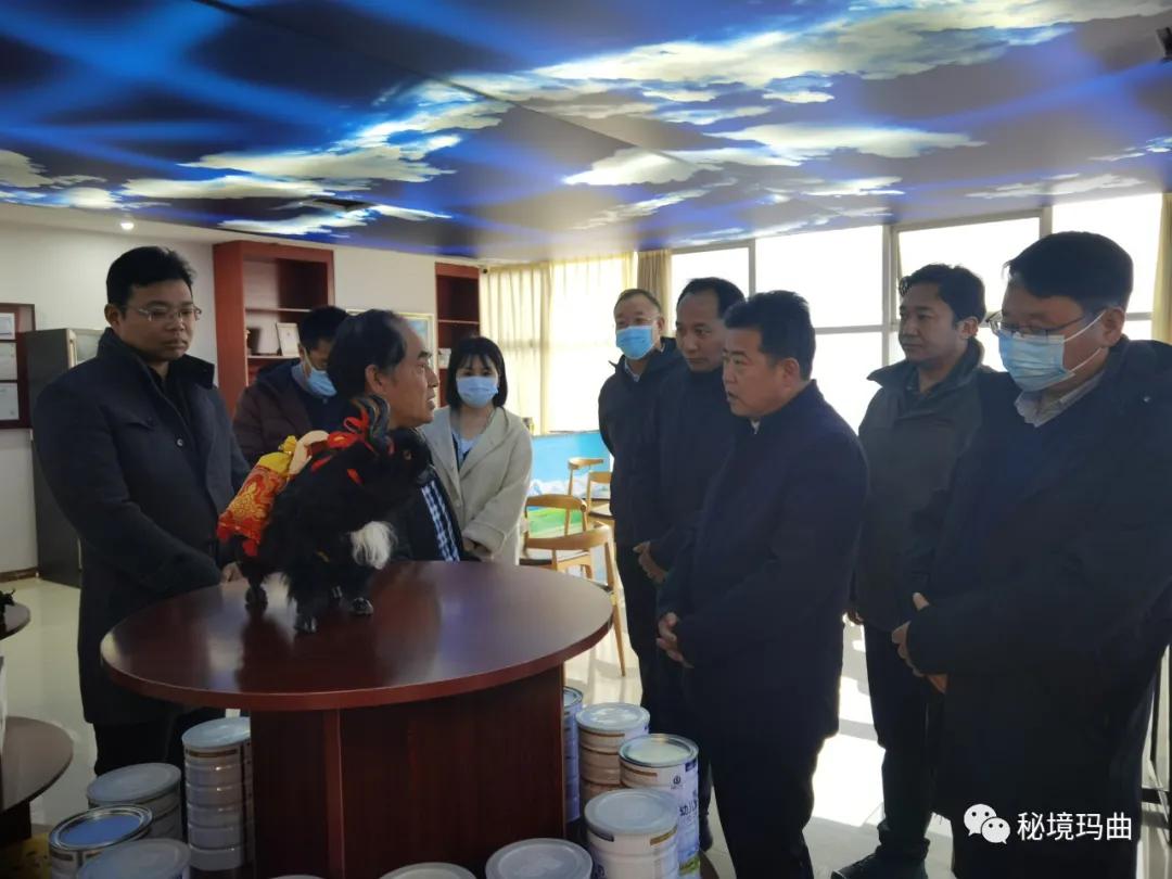 高原之寶上市，學(xué)習(xí)、蛻變與自信的輝煌之旅