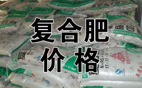 今日復(fù)合肥價(jià)格行情解析及市場(chǎng)趨勢(shì)探討