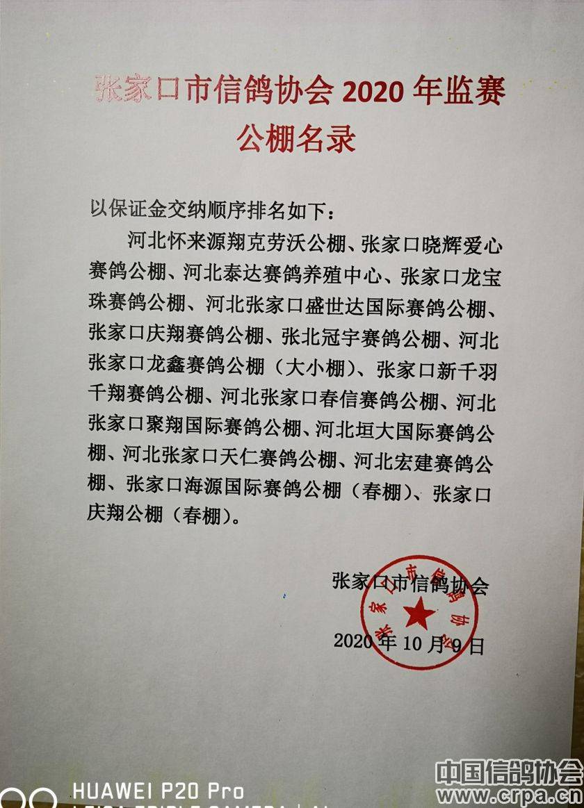 東光信鴿協(xié)會最新通告，小巷深處的獨特風(fēng)味揭秘與信鴿活動更新通知