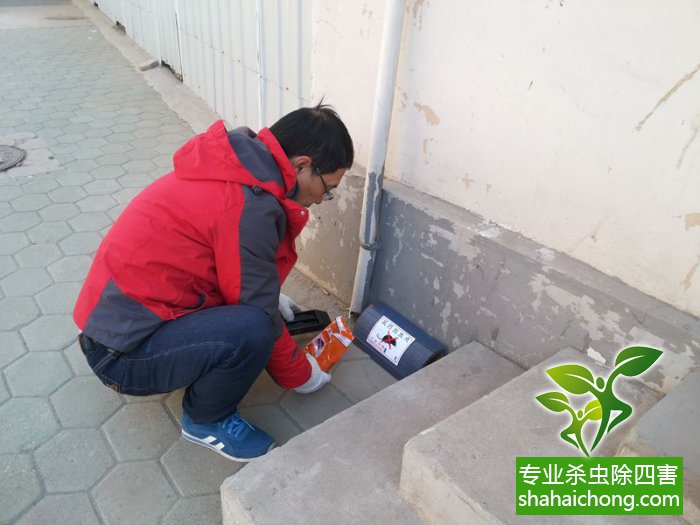 最新滅鼠技術(shù)的觀(guān)點(diǎn)論述與立場(chǎng)闡述，創(chuàng)新方法的探索與挑戰(zhàn)