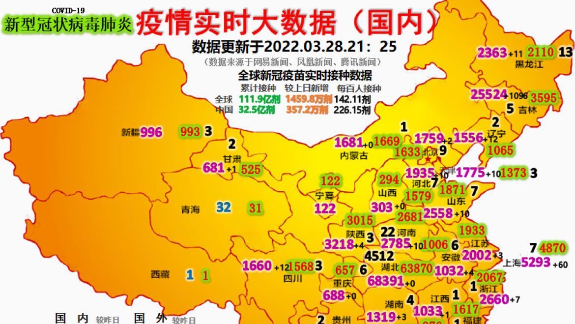 最新疫情動態(tài)詳解，初學(xué)者與進(jìn)階用戶的步驟指南