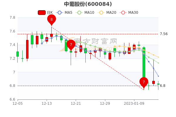 中葡股份股票行情深度分析與展望，未來走勢展望及行業(yè)前景預(yù)測。