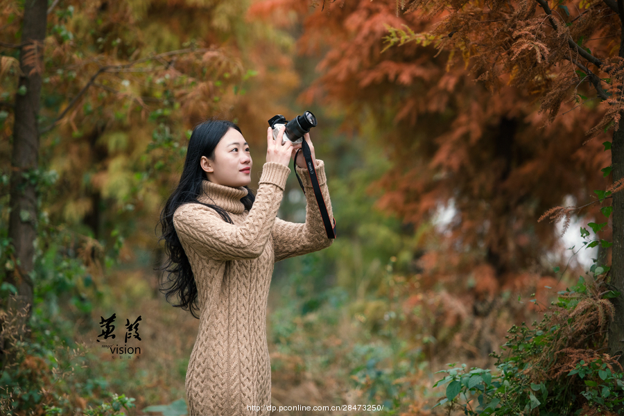 伊人在線電影，探索現(xiàn)代網(wǎng)絡(luò)影視的新境界