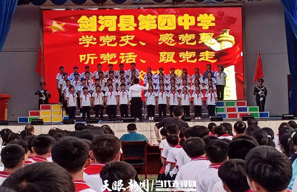 青蛙與狗的泳池挑戰(zhàn)，揭秘游泳比賽背后的故事，青蛙夢工廠的秘密探索