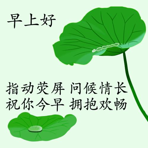 最新疫情動態(tài)下的自然探索之旅，追尋內(nèi)心的平和與寧靜