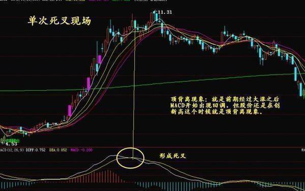 科技前沿與股票新紀(jì)元，最新高科技產(chǎn)品體驗(yàn)介紹與股票解析