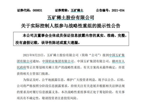 南方稀土股票，小巷中的隱秘寶藏，探索投資魅力的未知之旅