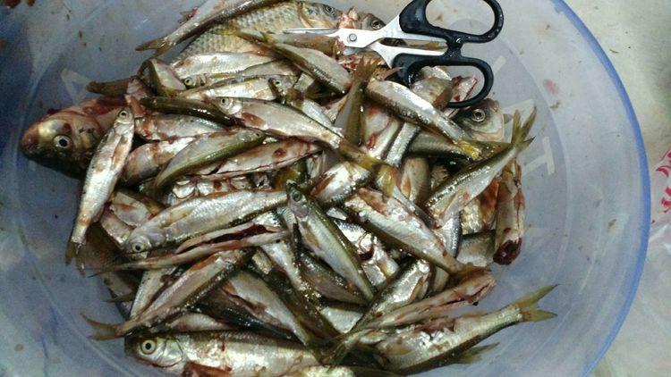 昆明最新野釣地點(diǎn)探索，重拾生活激情與自信的自然之旅