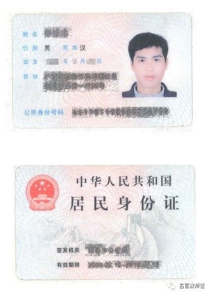 最新證照，友情與陪伴的溫馨故事之旅