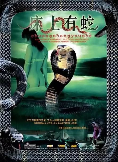 最新蛇片，蛻變的旅程，召喚自信與成就感的冒險(xiǎn)之旅