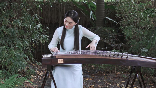 抖音最新琵琶演奏，古典與現(xiàn)代的完美融合之美