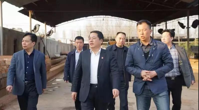 商丘王仲田最新動態(tài)，探索自然美景的旅行，尋求內(nèi)心平和之旅
