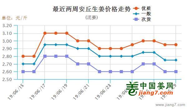 安丘大姜最新行情，機(jī)遇與自我超越的探尋之旅
