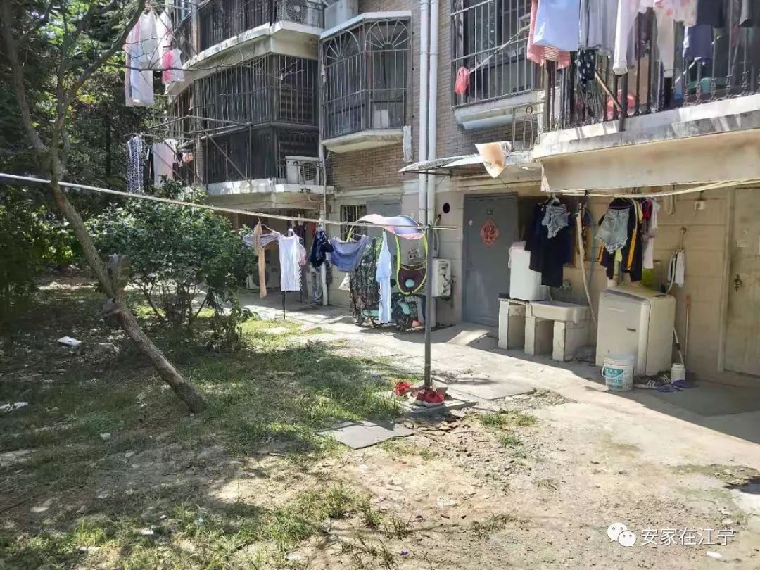 最新大雜亂時代，混沌與秩序的重建之路